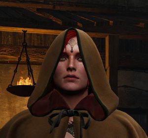 Ansel Witcher Triss klein