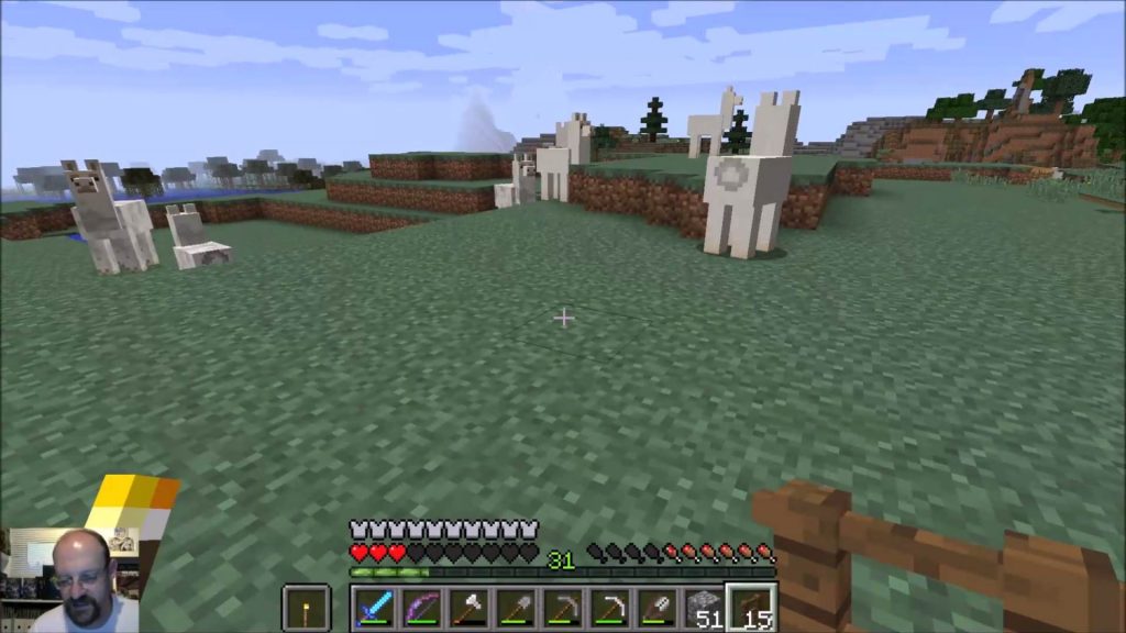 lamas